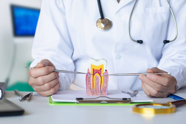 Best Emergency Orthodontic Repairs in Yuc Valley, CA